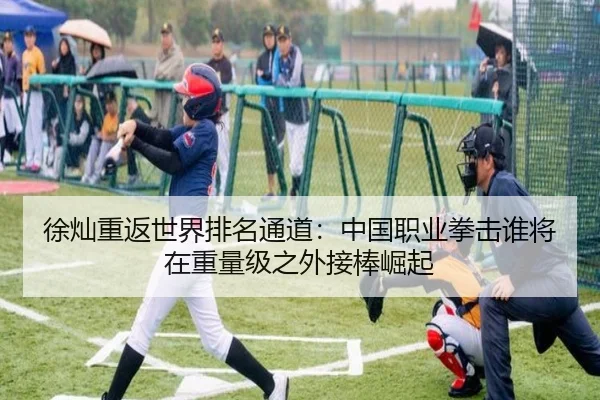 徐灿重返世界排名通道：中国职业拳击谁将在重量级之外接棒崛起